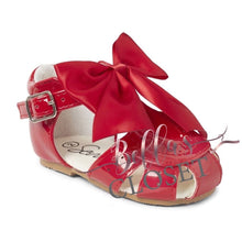 Load image into Gallery viewer, Terri