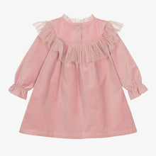 Load image into Gallery viewer, Pink velvet dress with pink tule
