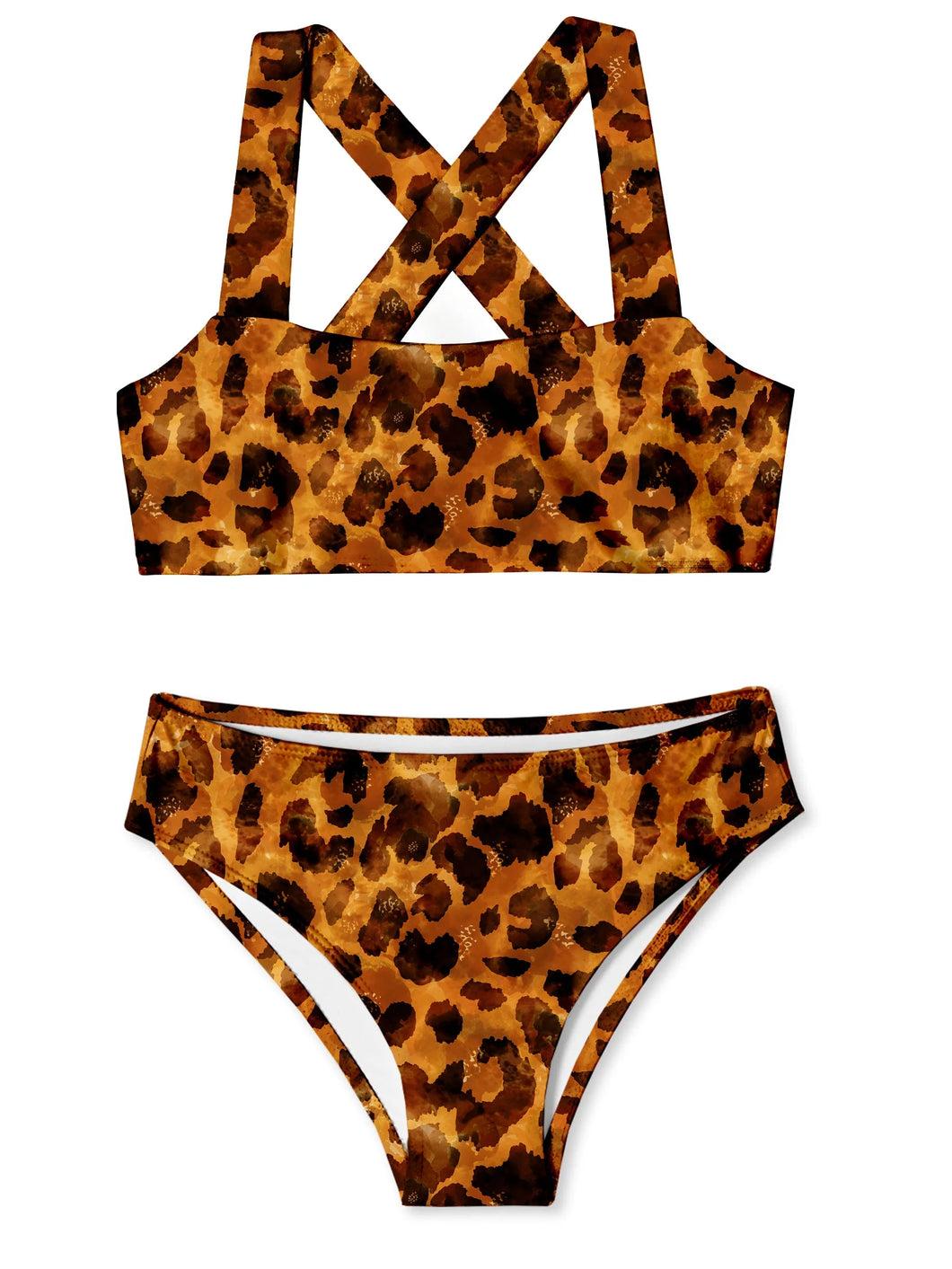 Stella Tortoise 2pc